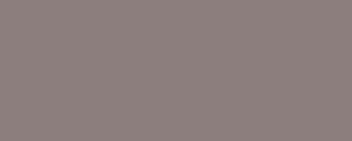 S07 Ash Brown Color